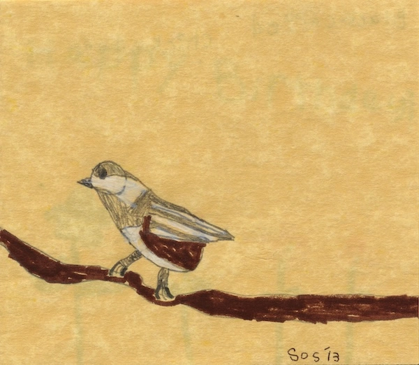 Birthday card drawn by Scott Stilson’s son at age five featuring a black-capped chickadee