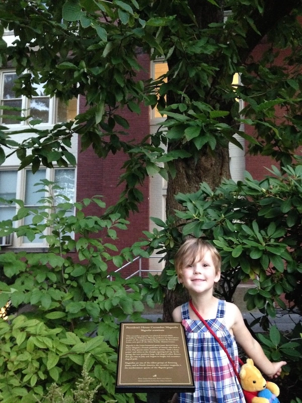 A young girl in a checkered dress stands with a Winnie the Pooh satchel in front of a magnolia tree and an interpretive plaque